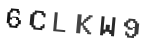 Verification Code Image